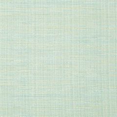 Robert Allen Nyanko Water Essentials Multi Purpose Collection Indoor Upholstery Fabric