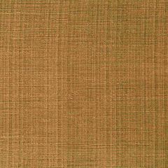 Robert Allen Nyanko Bronze Essentials Multi Purpose Collection Indoor Upholstery Fabric