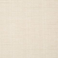 Robert Allen Nyanko Vanilla Essentials Multi Purpose Collection Indoor Upholstery Fabric