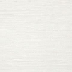 Robert Allen Nyanko White Essentials Multi Purpose Collection Indoor Upholstery Fabric