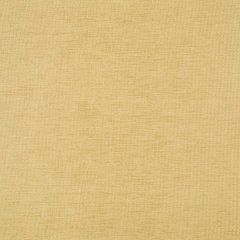 Robert Allen Nashua Brass Essentials Multi Purpose Collection Indoor Upholstery Fabric
