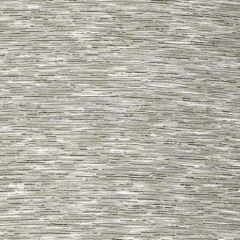 Robert Allen Syndara Platinum 243438 Solids & Textures Collection Multipurpose Fabric