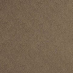 Robert Allen Nyolani Coffee Essentials Multi Purpose Collection Indoor Upholstery Fabric