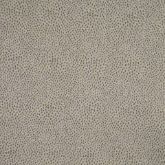 Robert Allen Nyolani Brindle Essentials Multi Purpose Collection Indoor Upholstery Fabric