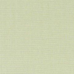 Robert Allen Brick Patio Chive Color Library Multipurpose Collection Indoor Upholstery Fabric