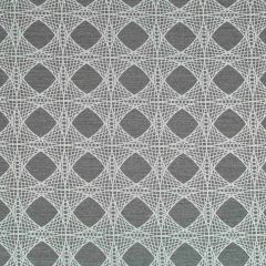 Robert Allen Contract Mystery Net Brilliant Indoor Upholstery Fabric