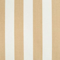 Robert Allen Cantina Stripe Grain Color Library Multipurpose Collection Indoor Upholstery Fabric
