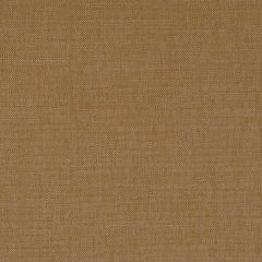 Robert Allen Brushed Linen Twig Essentials Collection Indoor Upholstery Fabric