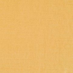 Robert Allen Brushed Linen Amber Essentials Collection Indoor Upholstery Fabric