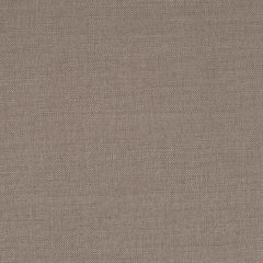 Robert Allen Brushed Linen Ash Essentials Collection Indoor Upholstery Fabric