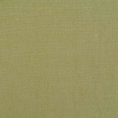 Robert Allen Brushed Linen Palm Essentials Collection Indoor Upholstery Fabric