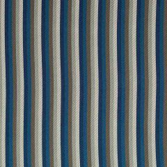 Robert Allen Contract Liftoff Royal Indoor Upholstery Fabric