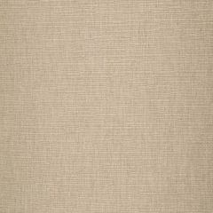 Robert Allen Happy Hour-Stucco 193493 Decor Upholstery Fabric