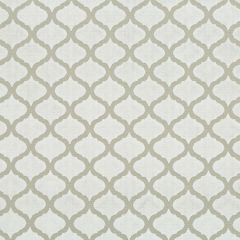 Beacon Hill Cyrus Velvet Platinum Indoor Upholstery Fabric