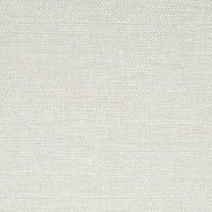 Robert Allen Single Strands Glacier Color Library Collection Indoor Upholstery Fabric