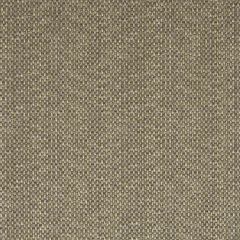Robert Allen Scamp Mica Color Library Collection Indoor Upholstery Fabric