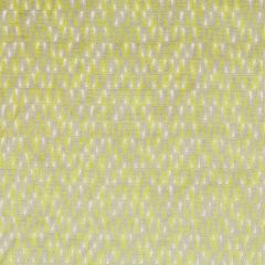 Beacon Hill Mirador Velvet Chartreuse Indoor Upholstery Fabric