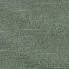Duralee Kiwi 32734-554 Decor Fabric