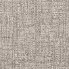 Beacon Hill Chroma Ash Indoor Upholstery Fabric