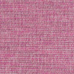 Robert Allen Tweed Chenille Beet Essentials Collection Indoor Upholstery Fabric