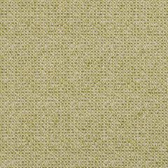 Robert Allen Avanzata Spring Grass Essentials Collection Indoor Upholstery Fabric