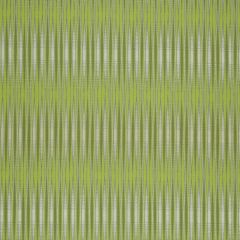 Robert Allen Contract Jam Session-Neva Green 244156 Decor Upholstery Fabric