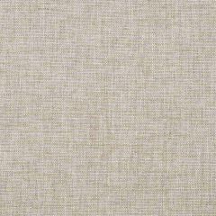 Robert Allen Modern Tweed Zinc Essentials Collection Indoor Upholstery Fabric