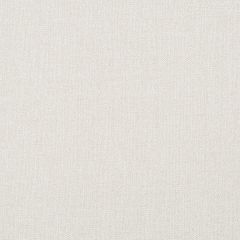 Robert Allen Easy Tweed Pearl Essentials Collection Indoor Upholstery Fabric