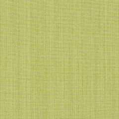 Robert Allen Ribbed Solid Spring Grass Color Library Collection Indoor Upholstery Fabric