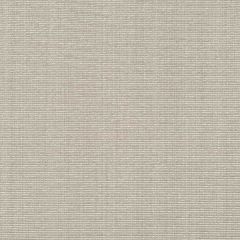Robert Allen Ribbed Solid Sterling Color Library Collection Indoor Upholstery Fabric
