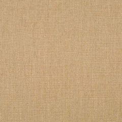 Robert Allen Happy Hour Sandstone Essentials Collection Indoor Upholstery Fabric