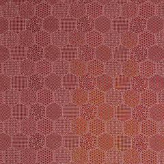 Robert Allen Stitched Hex Henna Color Library Collection Indoor Upholstery Fabric