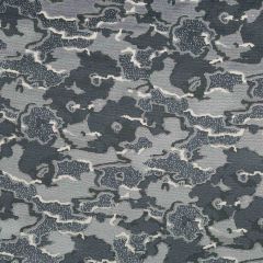 Beacon Hill Cumulus Velvet Thunder Indoor Upholstery Fabric