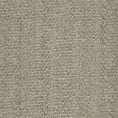 Beacon Hill Lecco Basket Stone 238993 Chenille Solids Collection Indoor Upholstery Fabric