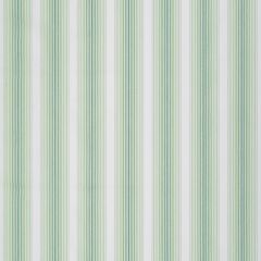Robert Allen Tivoli Stripe Palm 248145 Madcap Collection Multipurpose Fabric