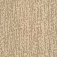 Robert Allen Beach Club Bk Amber 248235 Madcap Collection Indoor Upholstery Fabric