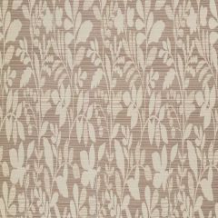 Robert Allen Contract Checkerberry Stone 248301 Contract Color Library Collection Indoor Upholstery Fabric