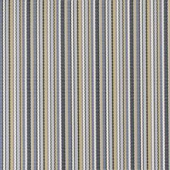 Phifertex Delray Stripe Poolside L38 54-inch Sling / Mesh Upholstery Fabric