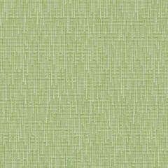 Mayer Rumba Lime 462-003 Good Vibes Collection Indoor Upholstery Fabric