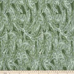 Premier Prints Pacific Herb / Luxe Polyester Indoor-Outdoor Upholstery Fabric