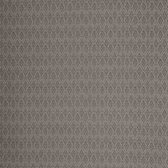 Robert Allen Contract Fretley Platinum 251030 Indoor Upholstery Fabric