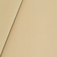Robert Allen Luxe Look Grain 251705 Solids & Textures Collection Multipurpose Fabric
