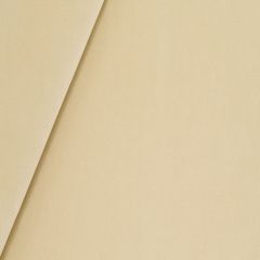 Robert Allen Luxe Look Linen 251740 Solids & Textures Collection Multipurpose Fabric