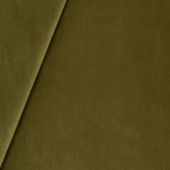Robert Allen Luxe Look Thyme 251759 Solids & Textures Collection Multipurpose Fabric