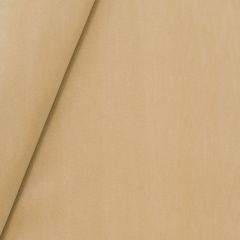 Robert Allen Luxe Look Twig 251760 Solids & Textures Collection Multipurpose Fabric