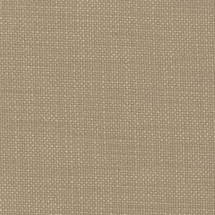 Perennials Rough 'n Rowdy Honed Limestone 955-71 Beyond the Bend Collection Upholstery Fabric