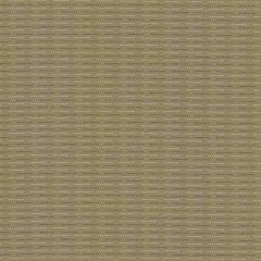 Mayer Jive Stone 461-017 Good Vibes Collection Indoor Upholstery Fabric