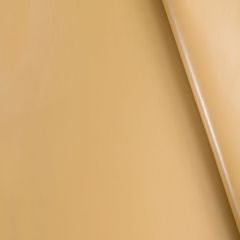 Robert Allen Neo Leather Sandstone 252484 Indoor Upholstery Fabric