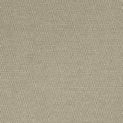 Robert Allen Contract Molded Key Slate Indoor Upholstery Fabric