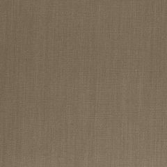 Robert Allen Contract Blank Canvas Jasper Indoor Upholstery Fabric